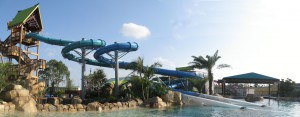 aquatica